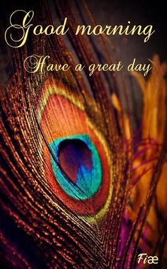 a close up of a peacock feather with the words good morning have a great day