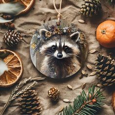 a raccoon is looking at itself in a mirror surrounded by pine cones and oranges