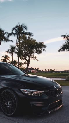 a black car is parked on the side of the road near some trees and palm trees