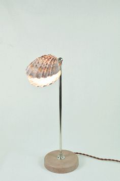 Lavender Lion's Paw Lamp' with Natural Scallop Shell Shade — Model No. 019A - Tennant New York Paw Lamp, Paper Parasol, Elegant Lighting Fixtures, Lion Paw, Art Lamp, Custom Shades, Scallop Shell, Task Lamps, Scallop Shells