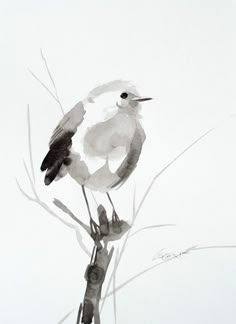 a watercolor painting of a bird sitting on top of a tree branch in the snow