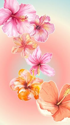 three pink flowers are in the air on a blue and pink background with an orange center