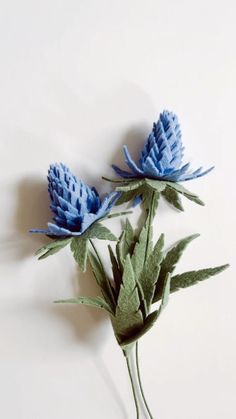 two blue flowers with green leaves on a white surface