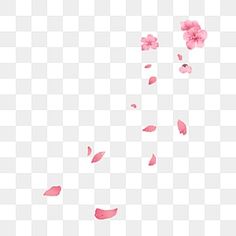 pink flower petals falling down on the ground, transparent background png and psd