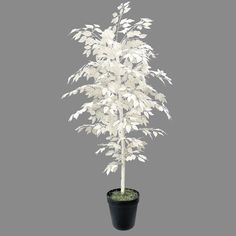 a white tree in a black pot on a gray background with clippings for text