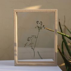 a plant in a frame sitting on top of a table