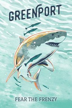 a book cover with an image of a shark in the water and words that read, greenport fear the frenzy