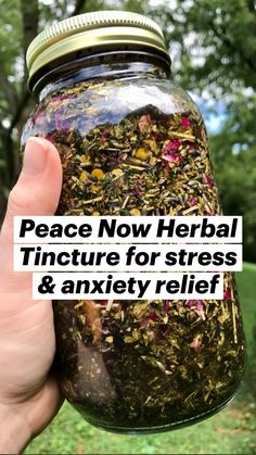 Herbalist Aesthetic, Tincture Recipes, Tinctures Recipes, Herbal Tinctures, Herbal Healing, Lemon Balm, Healthy Sleep, Wild Rose, Recipes For Beginners