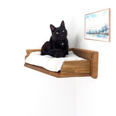 a black cat sitting on top of a wooden shelf