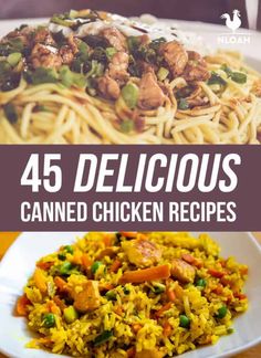 the cover of 45 delicious canned chicken recipes, including rice and vegetables with text overlay