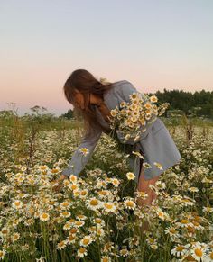 a woman kneeling down in a field of daisies