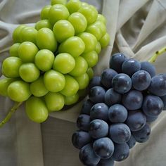 two grapes are sitting next to each other