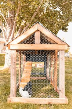 a small chicken coop with a cat in it