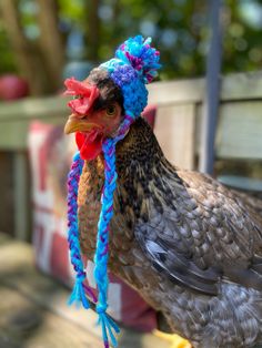 a close up of a chicken with a blue and red hat on it's head