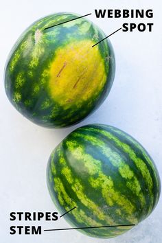 two watermelons are labeled with their names