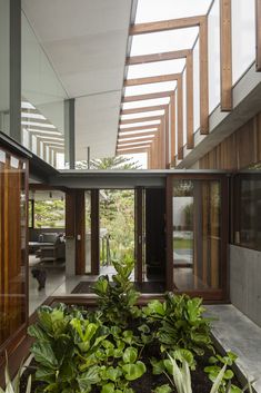 the inside of a modern house with plants in the foreground