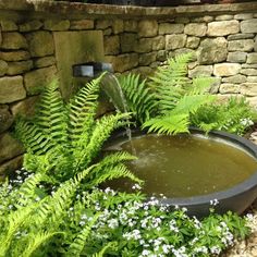 a water fountain surrounded by ferns and flowers in a garden area with stone wall behind it