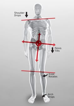 Physical Therapy Assistant, Massage Therapy Techniques, Yoga Anatomy, Muscle Imbalance, Human Body Anatomy, Spine Health, Muscle Anatomy, Body Therapy