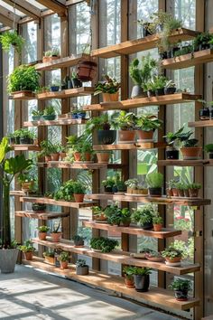 a room filled with lots of plants and potted plants on wooden shelves next to windows