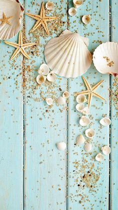 seashells and starfish on a blue wooden background with gold flecks