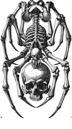 a drawing of a skeleton and a human skull in the shape of a crossbone