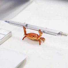 a small crab with a pen stuck in it's back legs sitting on a desk