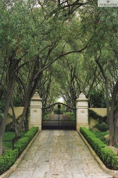 an iron gate is surrounded by trees and bushes