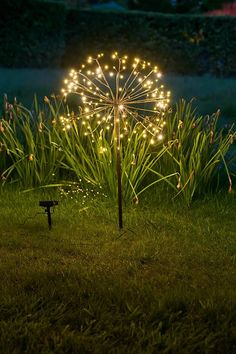 a lighted umbrella sitting in the grass next to a fire hydrant with lights on it