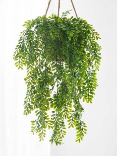 a green plant hanging from a rope over a window sill in front of a white wall