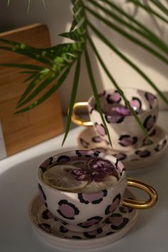 two cups and saucers with lemon slices in them sitting on a table next to a potted plant