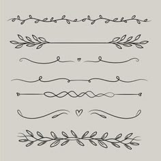 a set of hand drawn decorative elements