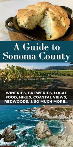 a guide to sonoma county wineries, brewers, local wines, and so much more