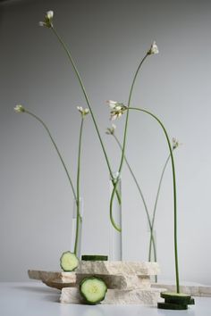 three vases with cucumbers and flowers in them on a white countertop