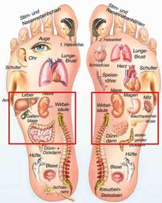 Steps Skincare, Reflexology Foot Chart, Bolesti Chrbta, Hand Reflexology, Reflexology Chart, Reflexology Massage, Foot Reflexology, Trening Fitness, Care Aesthetic