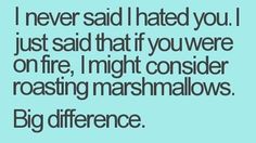 i never said i hate you just said that if you were on fire, i might consider roasting marshmallows