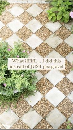 an image of a quote that says what ififf did this instead of just pea gravel?