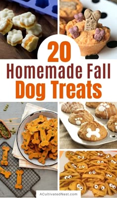 some homemade fall dog treats that are ready to be eaten