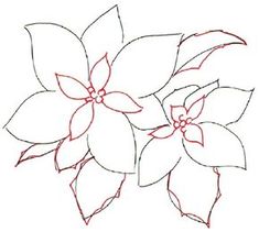 a drawing of poinsettia flowers on a white background