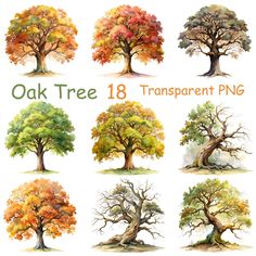 the different types of trees that are painted in watercolor