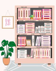 a book shelf with books and a potted plant