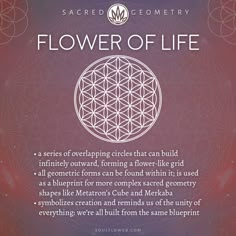 Sacred Geometry Clothing: Sacred Geometry is a series of geometric shapes with deeper metaphysical meaning. Behind the chaos, there is order. Flower Of Life Meaning, Energy Motivation, Flower Of Life Tattoo, Sacred Geometry Clothing, Small Wave Tattoo, Flower Of Life Symbol, Life Meaning