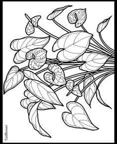 a coloring page with flowers and leaves