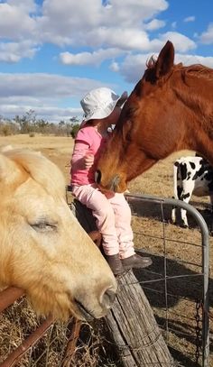 Singing for the horses... Girl Singing, Funny Horses, Cute Horses, Cute Wild Animals, Cute Animal Videos, Horse Love, Sweet Animals, Cute Little Animals, A Horse