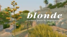 the words blonde are written in front of some plants