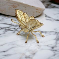 a golden insect sitting on top of a marble counter