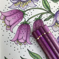 three purple pencils sitting on top of a coloring book