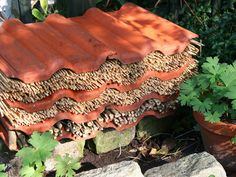 a red roof sitting on top of a pile of rocks next to a potted plant