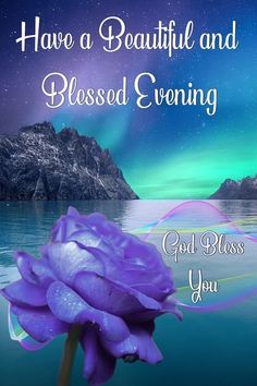 a purple flower with the words have a beautiful and blessing evening god blobs you