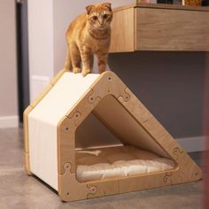 an orange cat standing on top of a bed in the middle of a room with grey walls