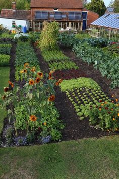 a garden with many different types of flowers and plants growing in the ground, including sunflowers